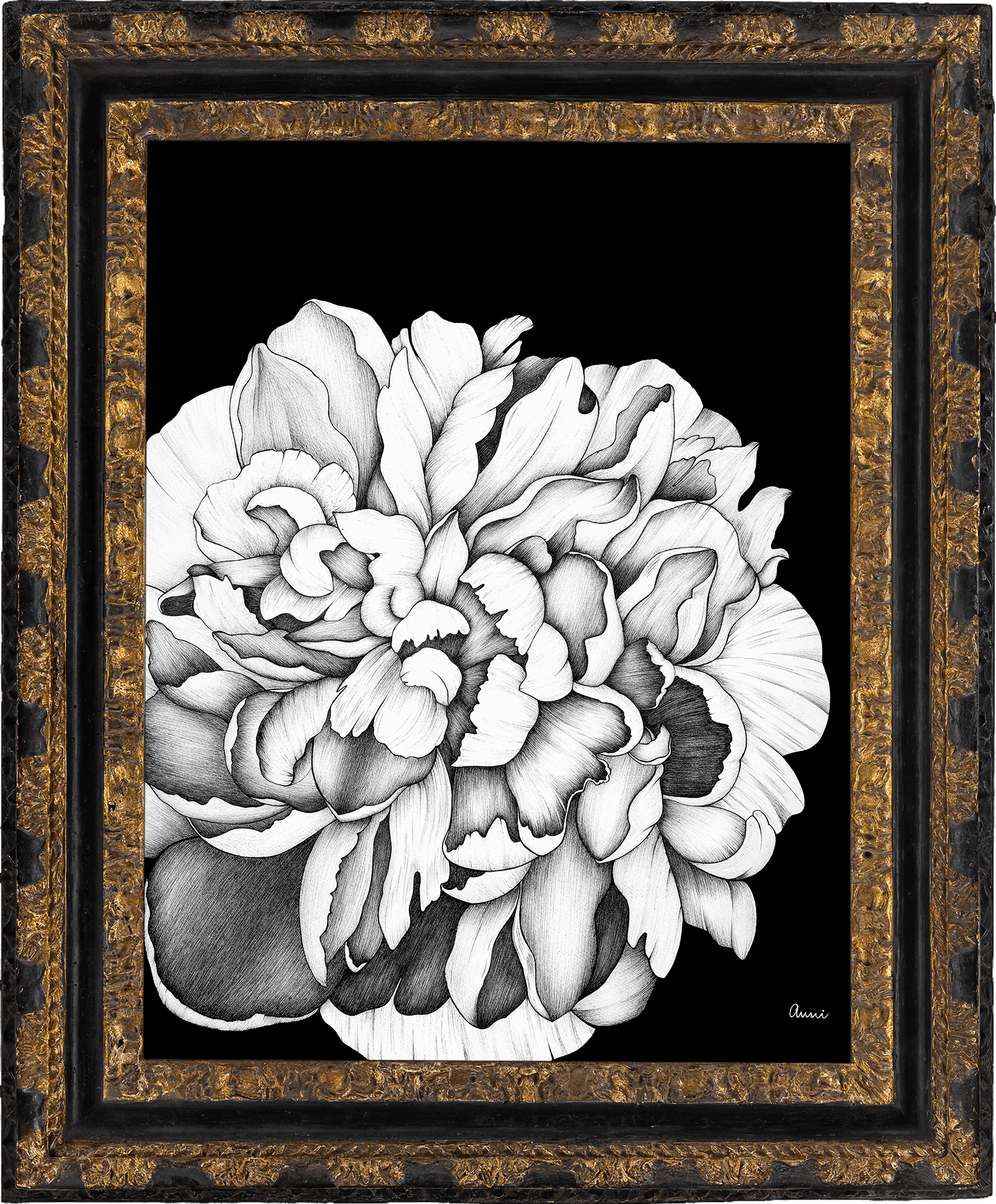 Peony_Frame_01